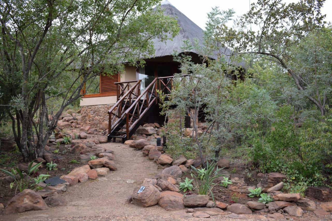 Sekala Private Game Lodge محمية ويلغيفوندين غايم المظهر الخارجي الصورة